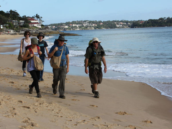 Where is the Jibbon Beach walk? - Sydney Coast Walks