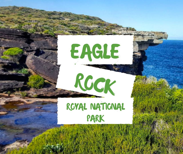 Eagle Rock Royal National Park Sydney Coast Walks