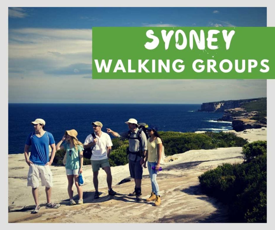 find-walking-groups-sydney-sydney-coast-walks